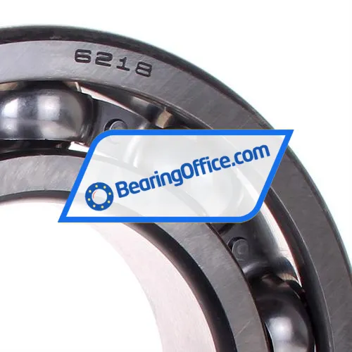 NSK 6218CM bearing image 2