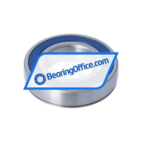 Keep Moving Long CS209DDUG bearing image 2