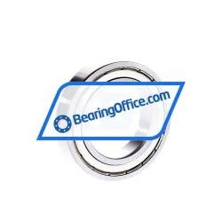 Bing Netherlands 6009ZZ rulman resim 2