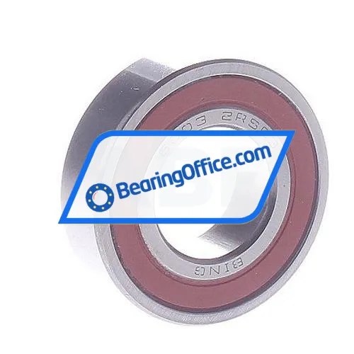 Bing Netherlands 6003-2RS C3