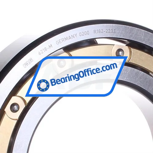 FAG 6218-M bearing image 2
