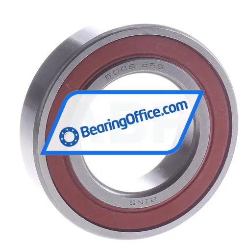 Bing Netherlands 6006-2RS