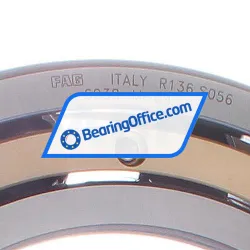 FAG 6038-M-C4 rulman resim 2