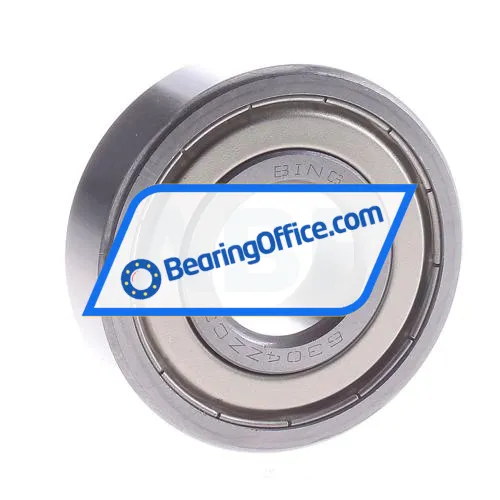 Bing Netherlands 6304ZZ C3