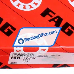 FAG 6034-C3 rulman resim 5