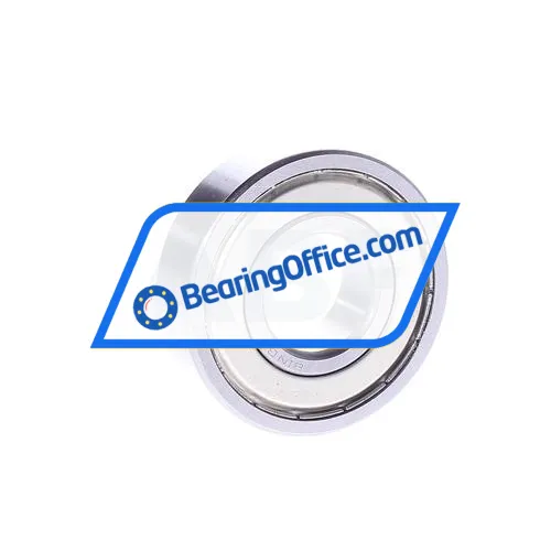 Bing Netherlands 6305ZZ