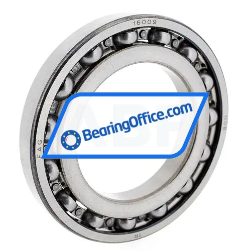 FAG 16009-A