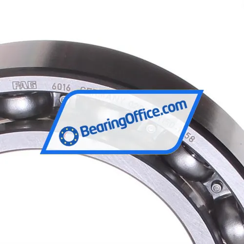 FAG 6016 bearing image 2