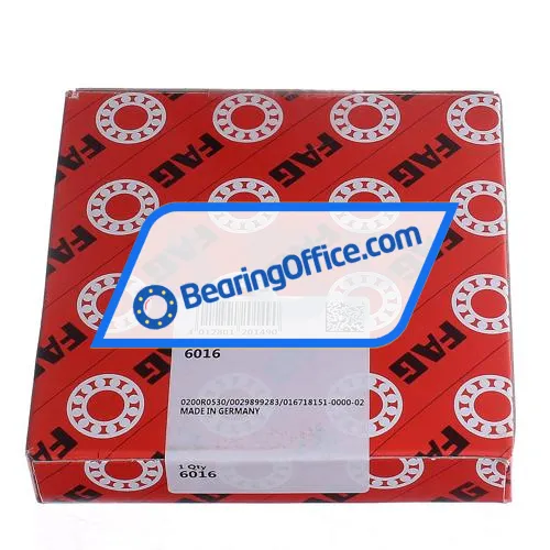 FAG 6016 bearing image 4