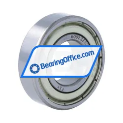 FSY (China) 6002ZZ C2