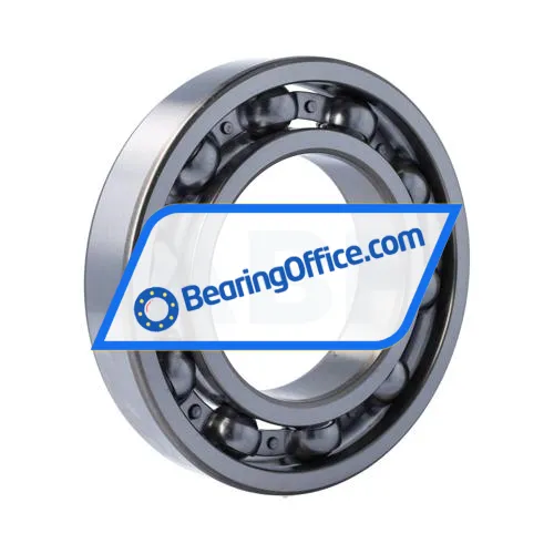 FSY (China) 6219C4 bearing image 2