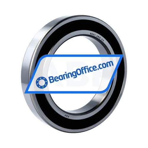 FSY (China) 6021 2RS C3