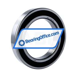 FSY (China) 6021 2RS C3