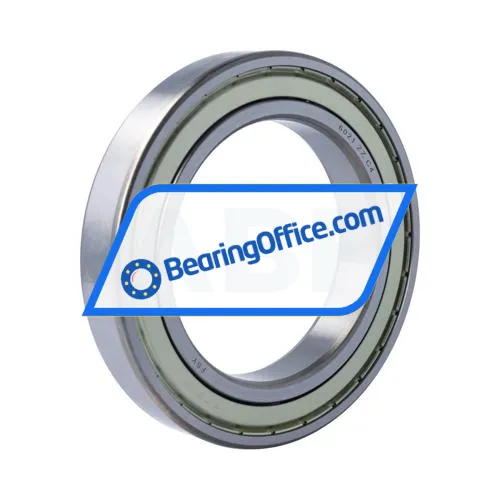 FSY (China) 6021ZZ C4