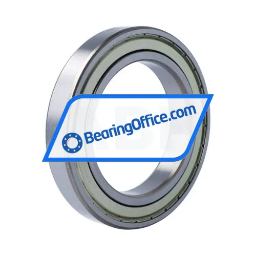 FSY (China) 6021ZZ C4 bearing image 2