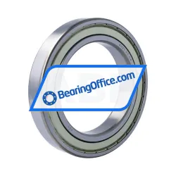 FSY (China) 6021ZZ C4