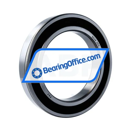 FSY (China) 6028 2RS