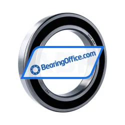 FSY (China) 6028 2RS