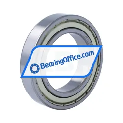 FSY (China) 6011ZZ C3