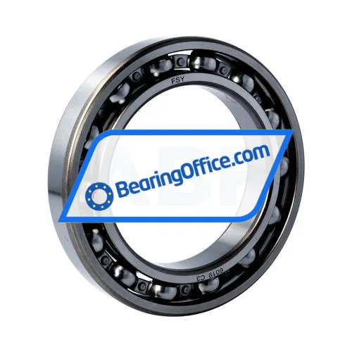 FSY (China) 6019C3 bearing image 2