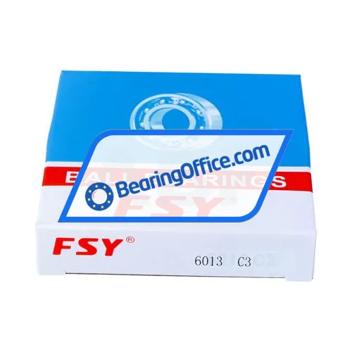 FSY (China) 6013C3 bearing image 3
