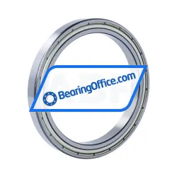 FSY (China) 61819ZZ C3 rulman resim 2