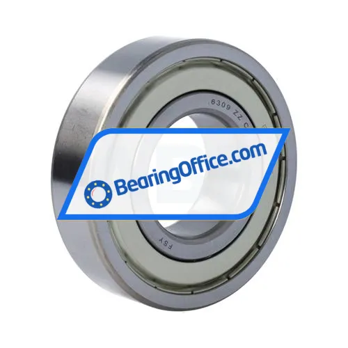 FSY (China) 6309ZZ C4