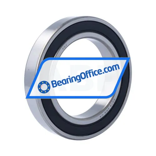 FSY (China) 6018 2RS C4 bearing image 2