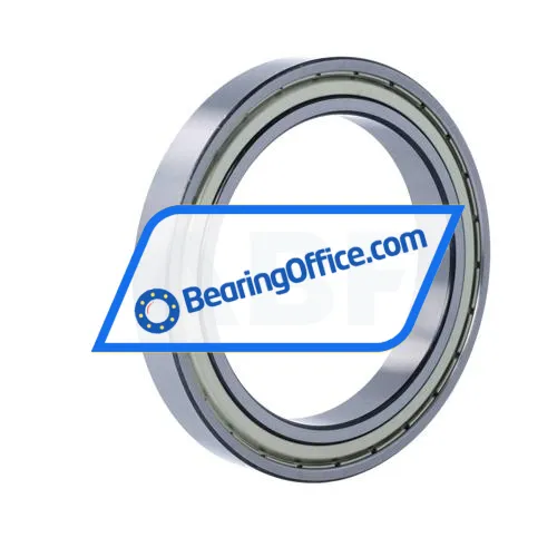 FSY (China) 61919ZZ bearing image 2