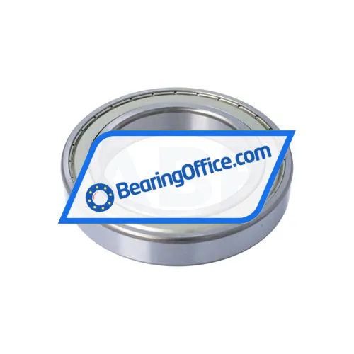 FSY (China) 6022ZZ C4 bearing image 4