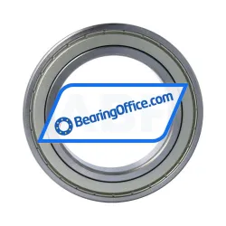 FSY (China) 6022ZZ C4 rulman resim 2