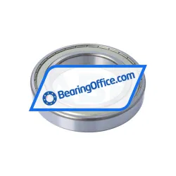 FSY (China) 6022ZZ C4 rulman resim 4