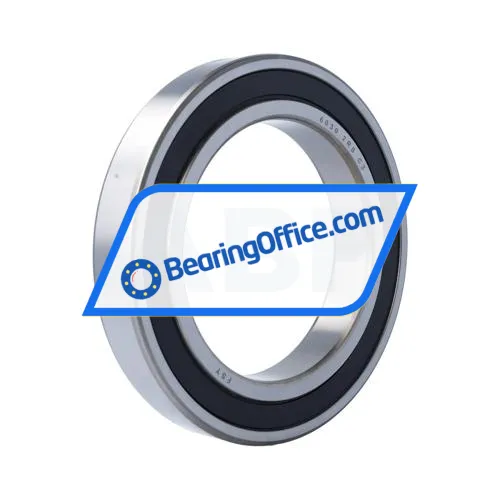 FSY (China) 6030 2RS C3