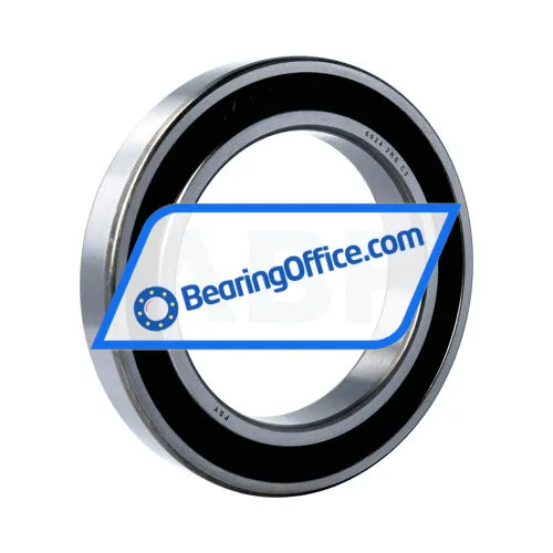 FSY (China) 6024 2RS C3