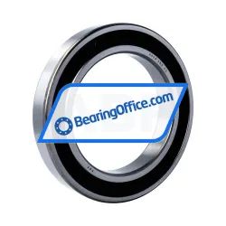 FSY (China) 6024 2RS C3