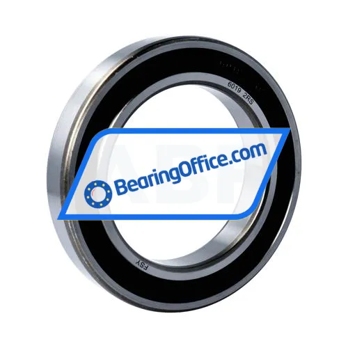 FSY (China) 6019 2RS