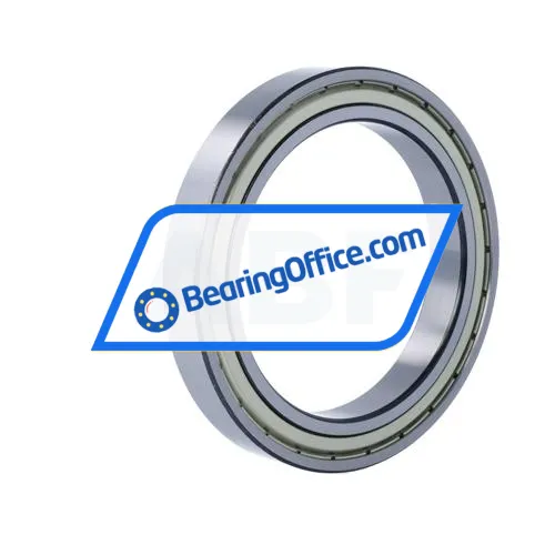 FSY (China) 61919ZZ C3 bearing image 2