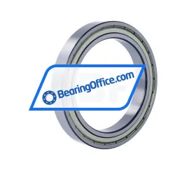 FSY (China) 61919ZZ C3 rulman resim 2