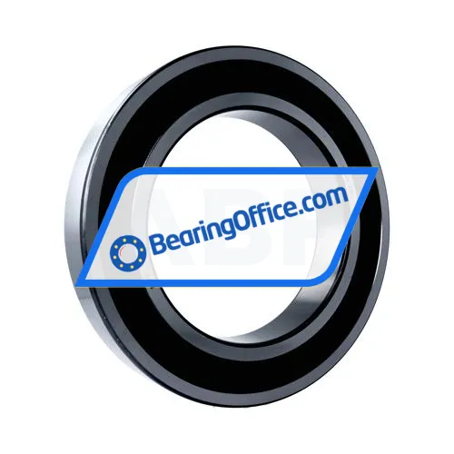 FSY (China) 6040 2RS