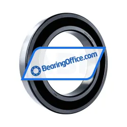 FSY (China) 6036 2RS C3