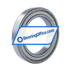 FSY (China) 6019ZZ C2