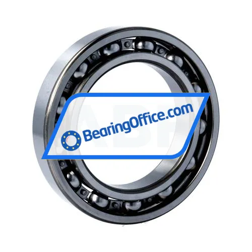 FSY (China) 6016C3 bearing image 2