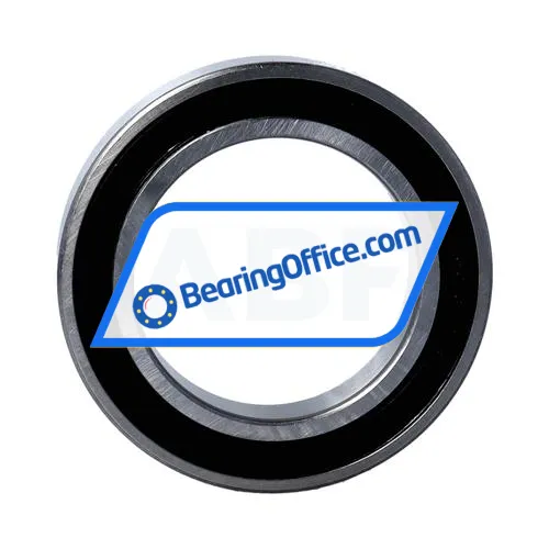 FSY (China) 6013 2RS C3