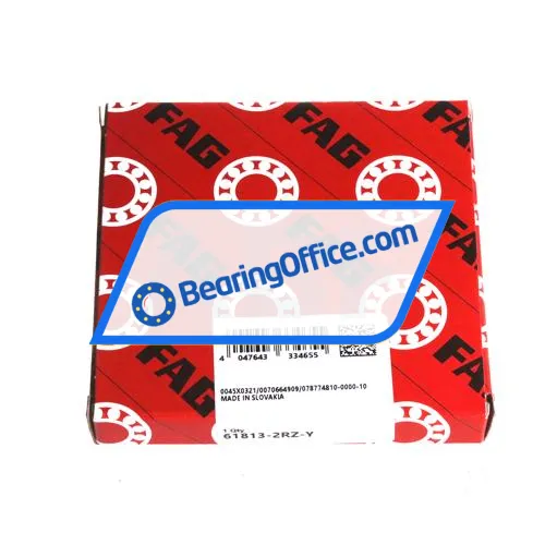 FAG 61813-2RZ-Y bearing image 3