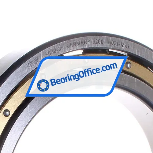 FAG 6030-M bearing image 2