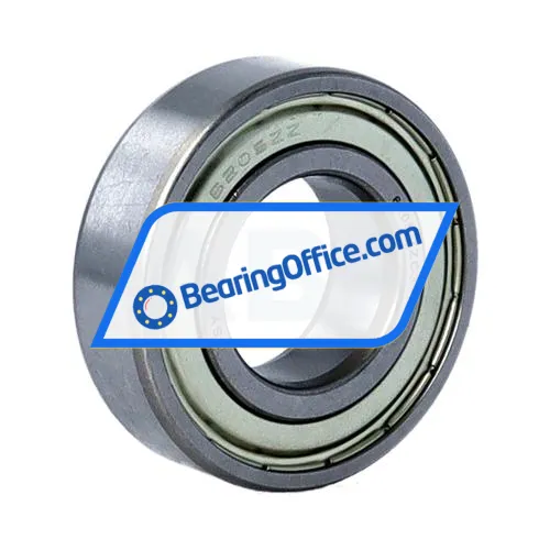 FSY (China) 6205ZZ C3