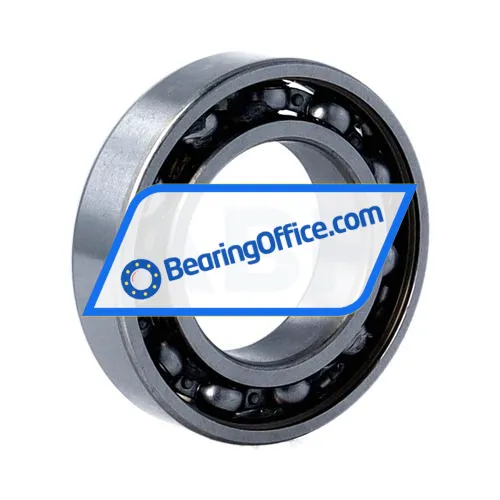 FSY (China) 6007 bearing image 2