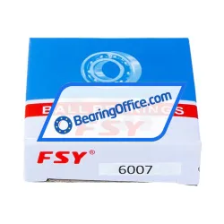 FSY (China) 6007 rulman resim 3