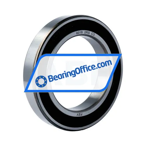 FSY (China) 6018 2RS C3