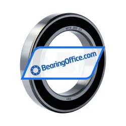 FSY (China) 6018 2RS C3